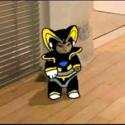 冬野其方's profile picture