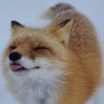delphox profil fotoğrafı