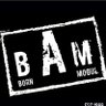 BAM 的头像