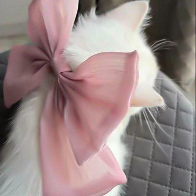 JessicaT57234's profile picture