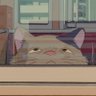 Фото профиля meow