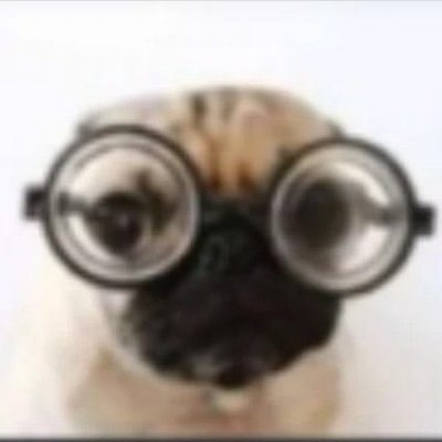 ᴀʟᴇᴊᴏ's profile picture