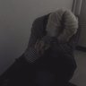 zara's profile picture