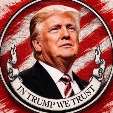 TrumpweTrust47's profile picture
