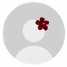 Bashayer al-harbi 🤍's profile picture