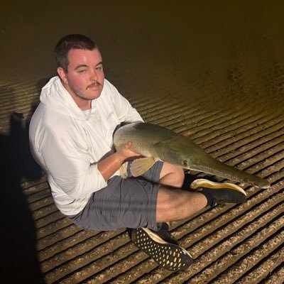 Max Archer's profile picture