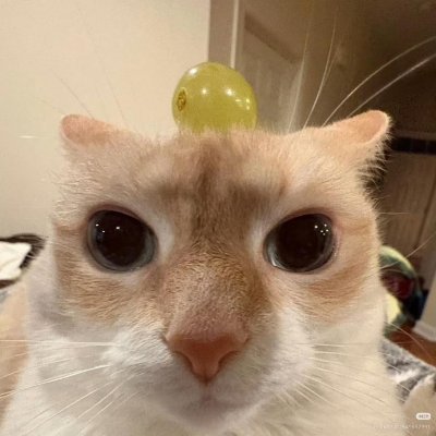 Flakked_LoL's profile picture