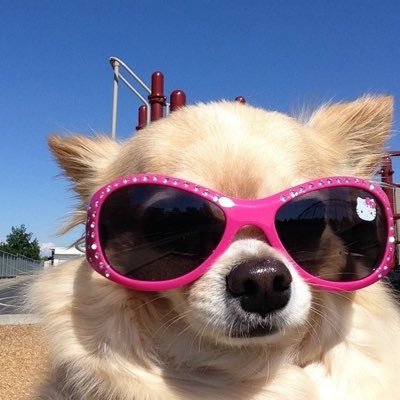 yvghappp's profile picture