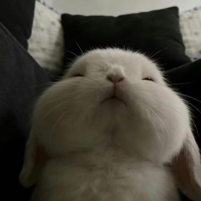 Babymaple ྀི มีแอคล็อค100฿🤏🏻's profile picture
