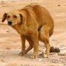 Mojoncan profil fotoğrafı