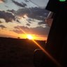 Newfarmer's profile picture