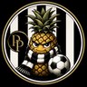 Paradoxical Pineapple profil fotoğrafı