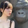 temen karmet 的头像