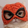 Ipan's profile picture
