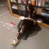 郑也木's profile picture