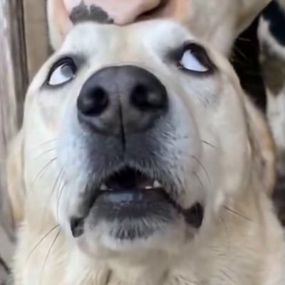 うたすkぇ's profile picture