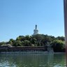 Фото профиля lasu