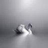 Profilbild von ally. 🦢 // rest.