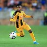 Dida Gabadiya's profile picture