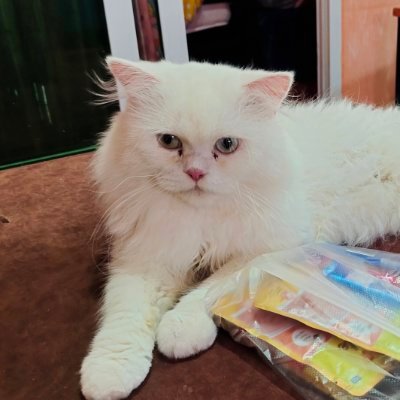 ☘️ไม่จำเป็นต้องอยากรู้ในตัวฉาน🍒🍒#ลพบุรี's profile picture