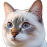 でこぼこ綿棒's profile picture