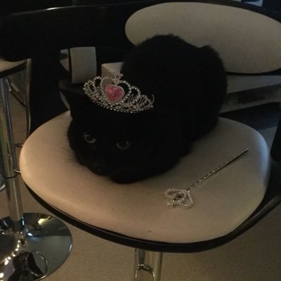 mimai's profile picture