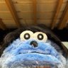 Profilbild von ∠アボカド