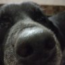 Profilbild von Heisnwin Heisnwin