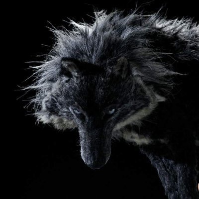 AkimeVLR's profile picture