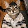 Rabbi Benyamin 🇵🇹🇮🇱🏳️‍⚧️🏳️‍🌈🇮🇳🇵🇸🇳🇬's profile picture