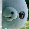 Profilbild von 夢天狐