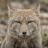 ジョナサン🕷️ profil fotoğrafı