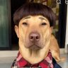 Bank 的头像