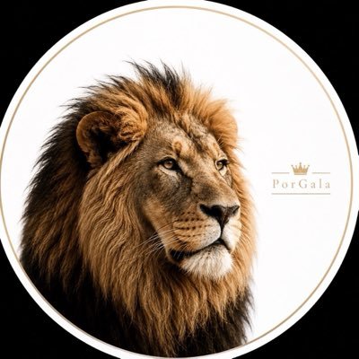 𝐏𝐨𝐫𝐆𝐀𝐋𝐀_𝟏𝟗𝟎𝟓's profile picture