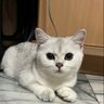 GiGil 的头像
