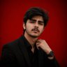 Profilbild von AAQIB ALI