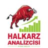 Halkarz Analizicisi's profile picture