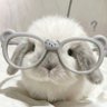 Athitaya's profile picture