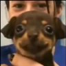 Profilbild von CITYBOYS