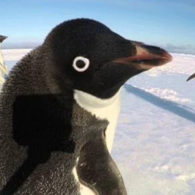 hm's profile picture
