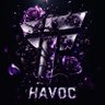 Havoc's profile picture