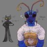 Pepsis limbata 的头像