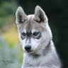 Фото профиля Denis kololo