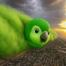 安小迪 profil fotoğrafı