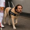 Daley Blindegeleidehond's profile picture