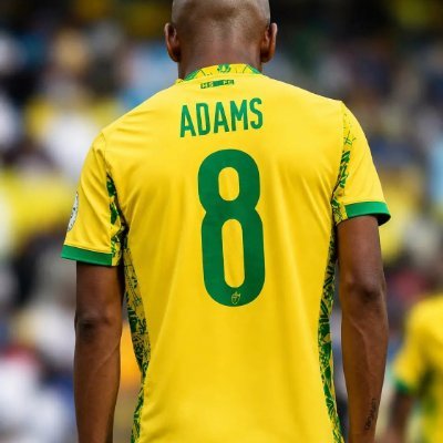Mamelodi Sundowns Sharpeville Branch® ⭐️⭐️'s profile picture