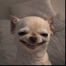tso๐๐ฟ๐ฆ's profile picture