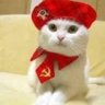 Liberdade🇵🇸🇻🇪🇨🇺's profile picture