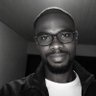 Profilbild von Ugochukwu P. Joel 🚀