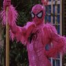 drspiderwoman profil fotoğrafı
